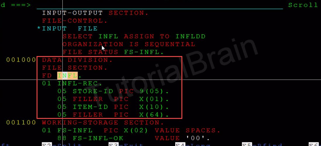 TutorialBrain-File definition in FD clause in File-section