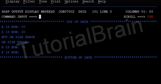 TutorialBrain-Output of Different types of DIVIDE Statements