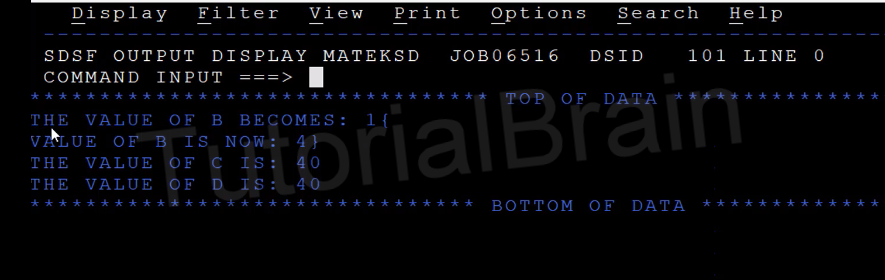 TutorialBrain-Output of Different types of SUBTRACT Statements