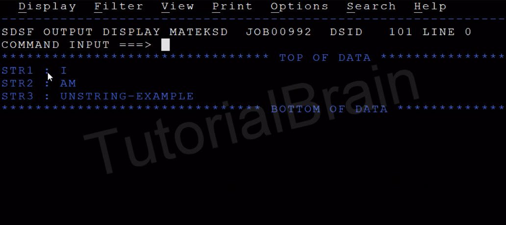 TutorialBrain-Output of UNSTRING operation used in String handling in COBOL