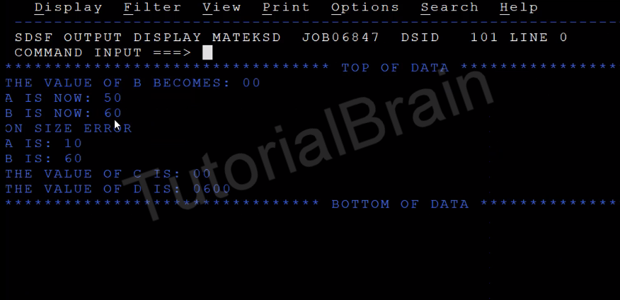 TutorialBrain-Output of the Different types of MULTIPLY Statements