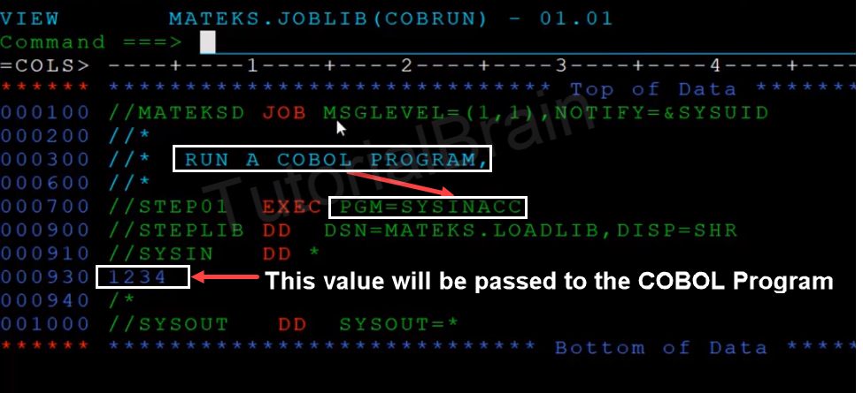 TutorialBrain-SYSIN coded in JCL passes value to COBOL Program