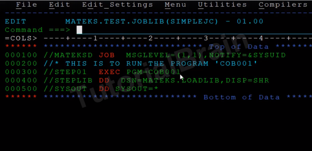 TutorialBrain-Sample RUN JCL to execute the HELLO WORLD COBOL Program