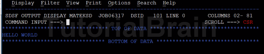 TutorialBrain-Output of Simple Display Statement