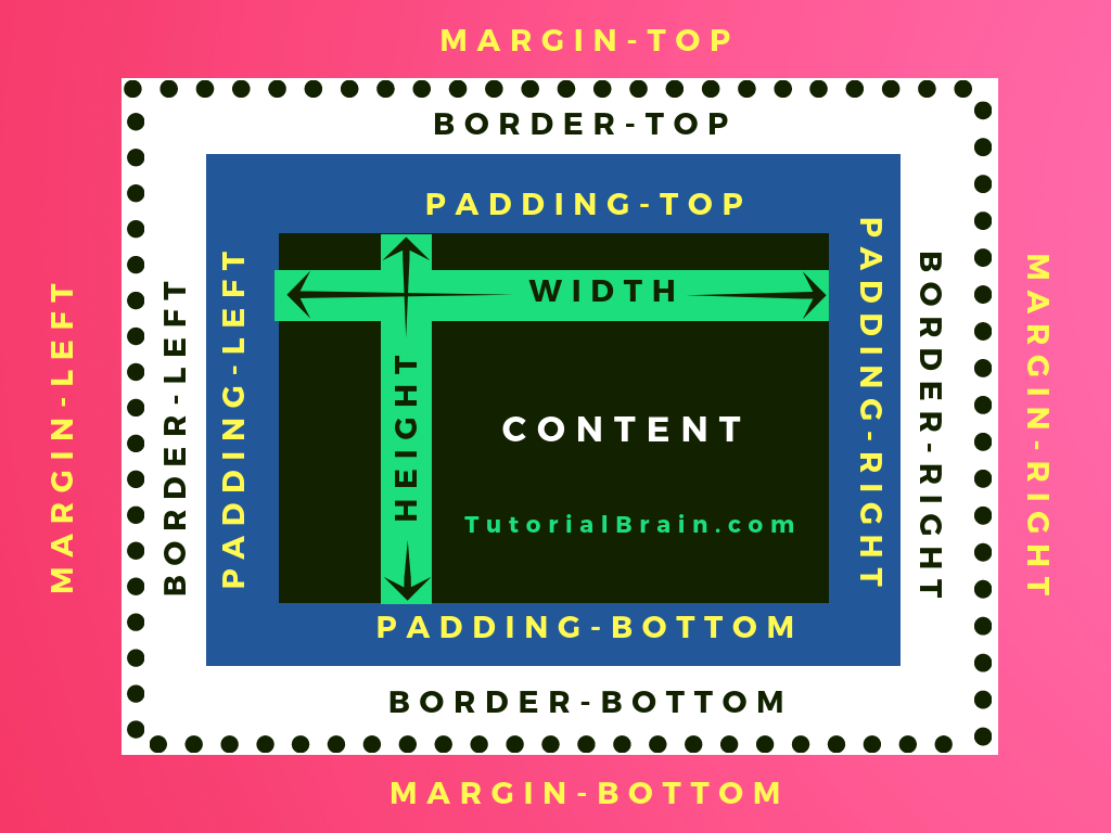 CSS box model displaying content, padding, border and margin