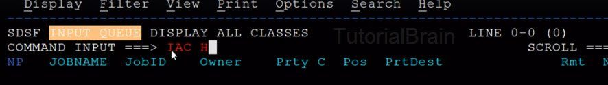 SDSF-to see all the jobs in input queue which are on hold for class a and c