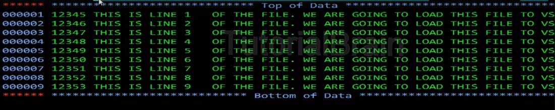 Input file to copy records to the ESDS cluster