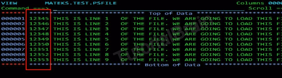 Input file from where the records will be loaded to KSDS cluster