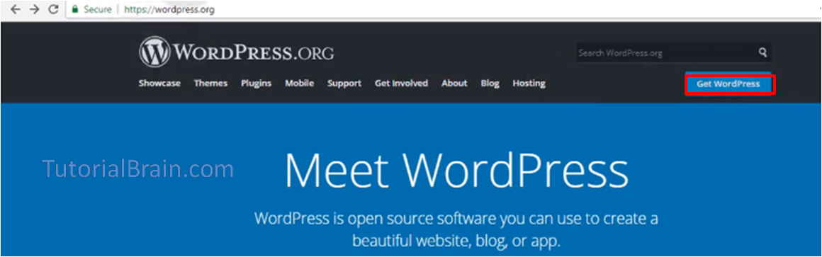 wordpress