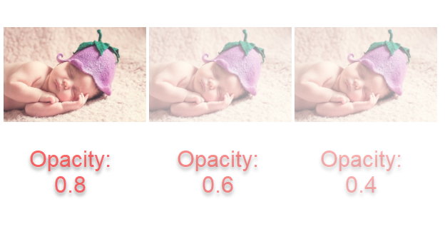 CSS Opacity Example Image