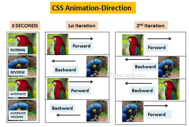 CSS animation Direction