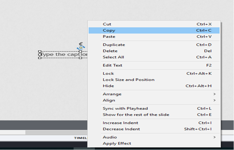 Adobe Captivate - Copy paste Text caption